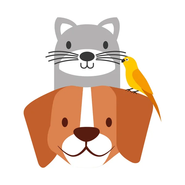 Mascotas Perro Gato Canario Aves Vector Ilustración — Vector de stock