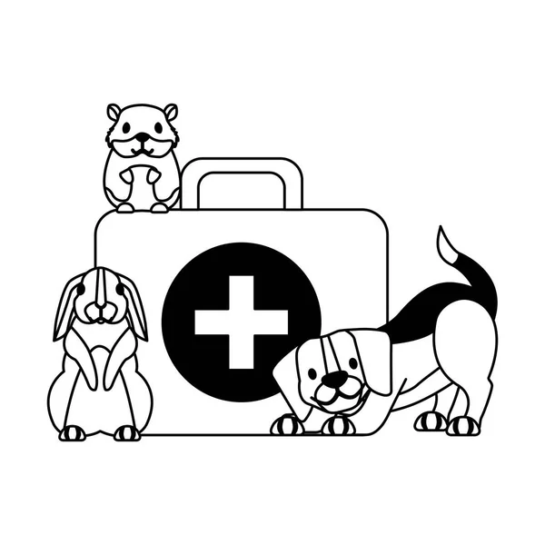 Hund Hamster Und Kaninchen Und Kit Medizin Tierklinik Petcare Vektor — Stockvektor