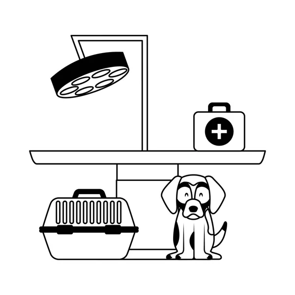 Hond Geneeskunde Kit Veterinaire Kliniek Petcare Vector Illustratie Vectorillustratie — Stockvector