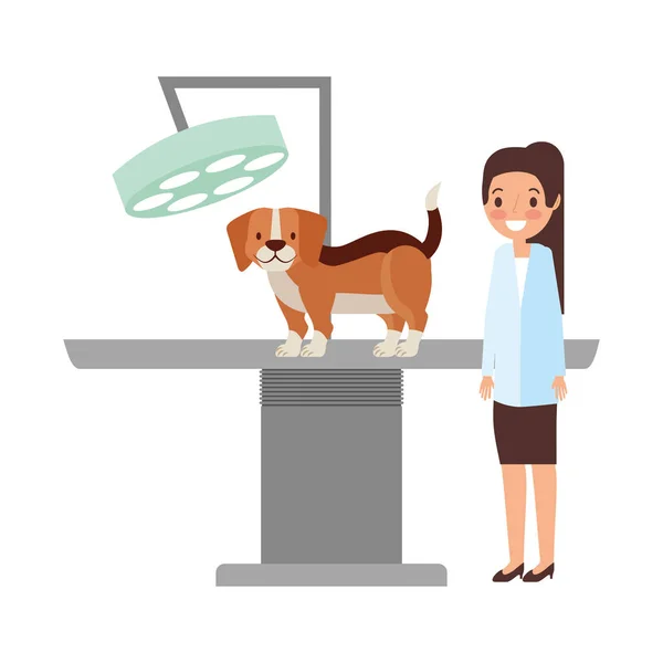 Veterinaire Arts Vrouw Hond Kliniek Petcare Vectorillustratie — Stockvector