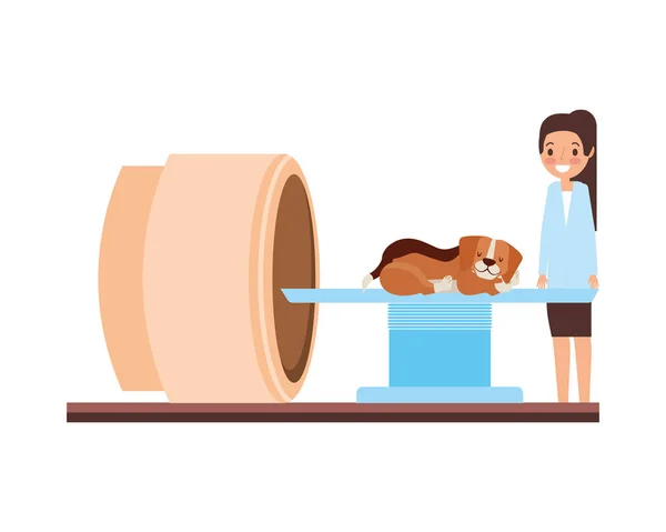 Vrouwelijke Arts Hond Scannen Machine Veterinaire Kliniek Vectorillustratie — Stockvector