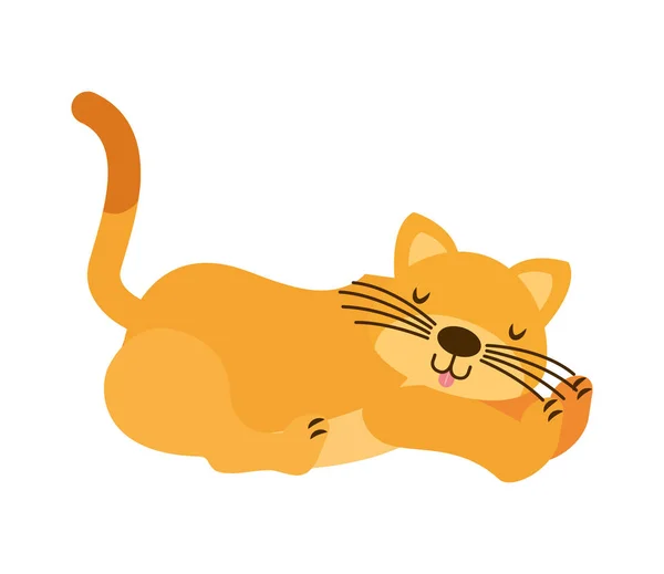 Cat Cartoon White Background Vector Illustration — Stock Vector