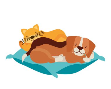 köpek ve kedi evcil hayvan yastık üzerinde