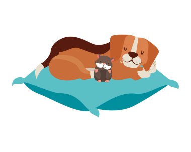 Beagle köpek ve hamster pet Tarih: yastık