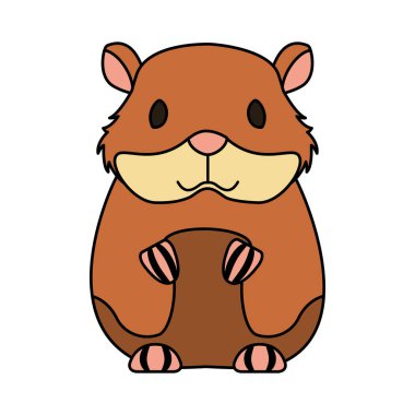 hamster kemirgen beyaz arka plan üzerinde