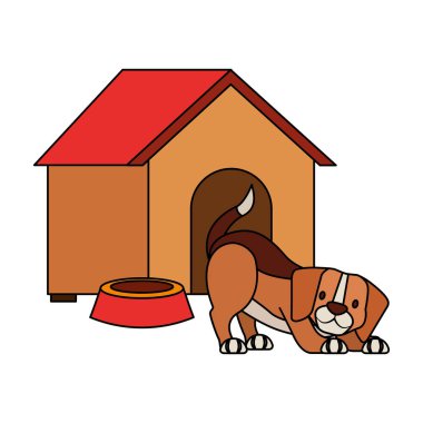 evde beslenen hayvan dükkan ile ilgili