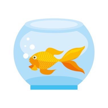 evde beslenen hayvan dükkan ile ilgili