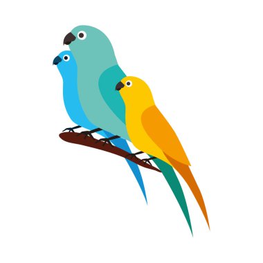 Kanarya ve papağan kuşlar dalda