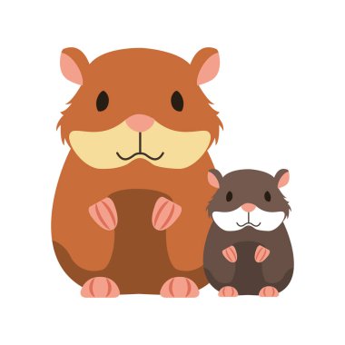 hamster kemirgen beyaz arka plan üzerinde