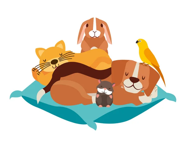 Dog Cat Hamster Rabbit Bird Cushion Bed Vector Illustration — Stock Vector
