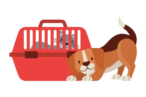 Cão Beagle Gato Ilustração Vetor Gaiola — Vetor de Stock