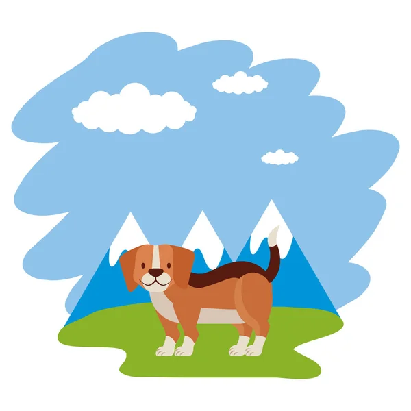 Beagle dog grass mountains landscape — Stock Vector