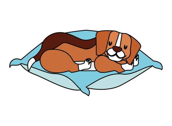 Beagle pes spí na polštáři — Stockový vektor