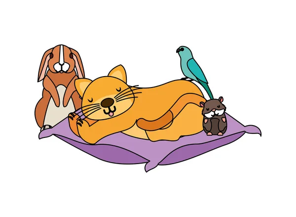 Gato hámster conejo y pájaro goldfish en cama cojín — Vector de stock