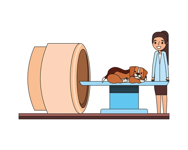 兽医诊所宠物护理 — 图库矢量图片