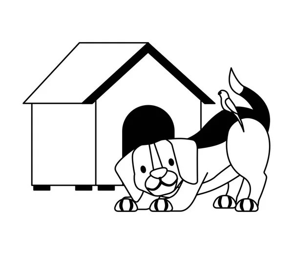 Tienda de mascotas relacionadas — Archivo Imágenes Vectoriales