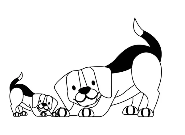 Perros beagle mascota sobre fondo blanco — Vector de stock