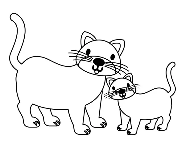Gatos mascota sobre fondo blanco — Vector de stock