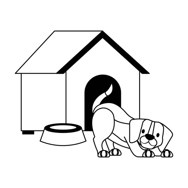 Tienda de mascotas relacionadas — Archivo Imágenes Vectoriales