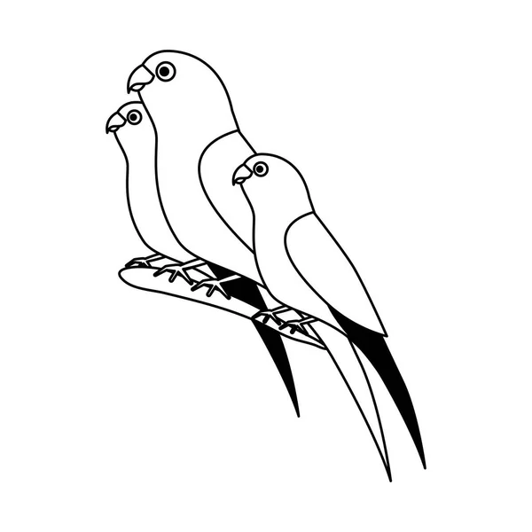 Канарки і папуги птахи на гілці — стоковий вектор