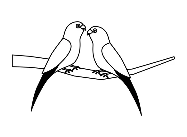 树枝上的两只鹦鹉鸟 — 图库矢量图片