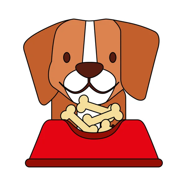 Tienda de mascotas relacionadas — Vector de stock