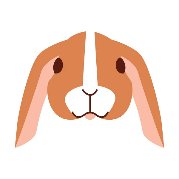 白い背景の可愛いウサギ — ストックベクタ