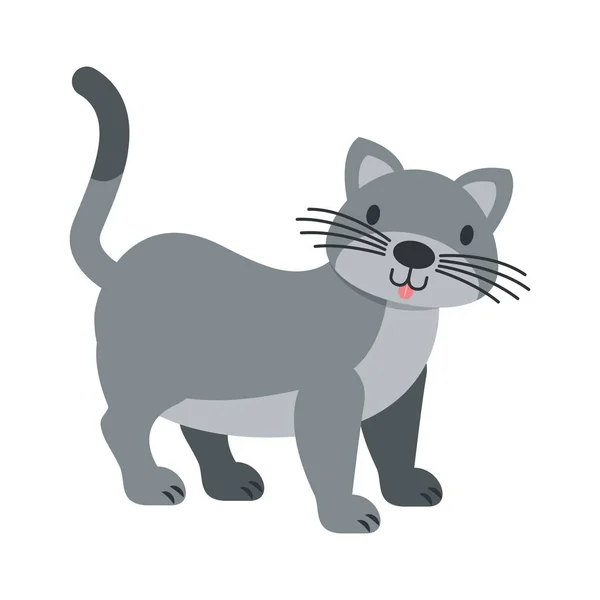 Gato mascota sobre fondo blanco — Vector de stock