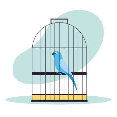 evde beslenen hayvan dükkan ile ilgili