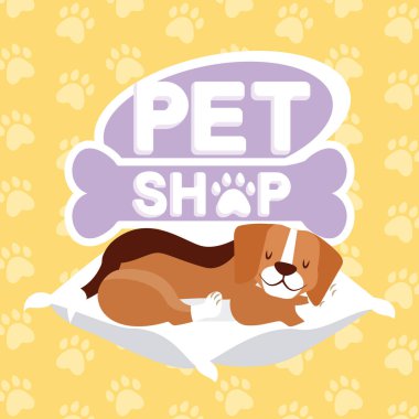 evde beslenen hayvan ve hayvan hastalıklarıyla ilgili