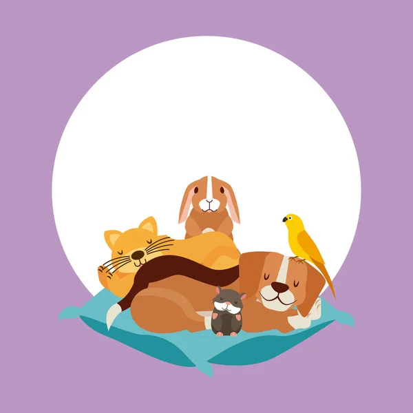 Mascotas y veterinarios — Vector de stock