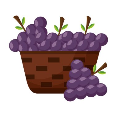hasır sepet taze üzüm ile