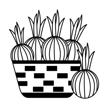 hasır sepet taze soğan ile