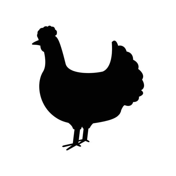 Silhouette chicken on white background — Stock Vector