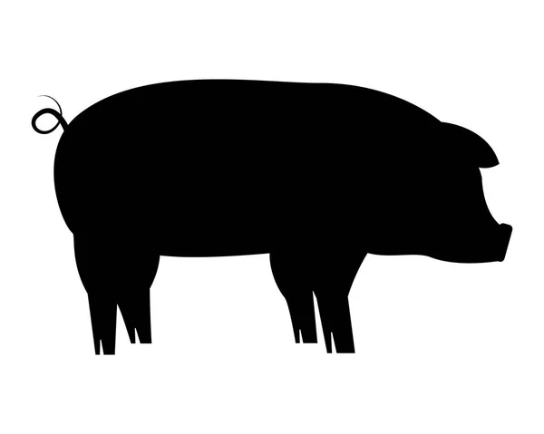 Silhouette pig on white background — Stock Vector