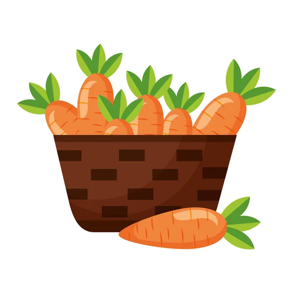 Wicker basket with fresh carrots — Stock Vector