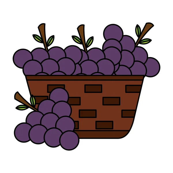 Panier en osier avec raisins frais — Image vectorielle