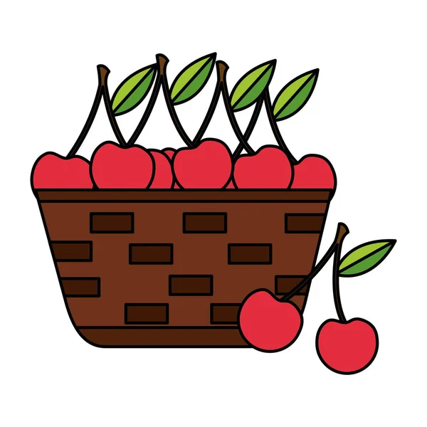 Wicker basket with fresh cherries — Stock Vector