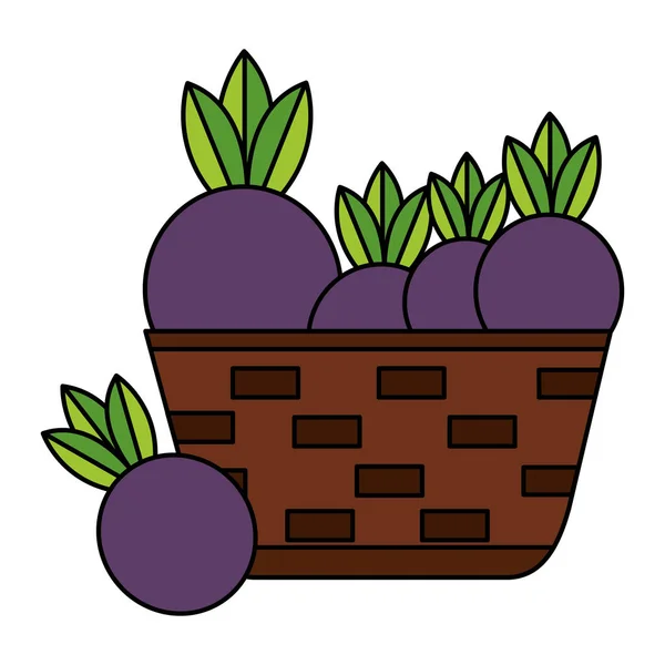 Wicker basket with fresh beet — Stock Vector