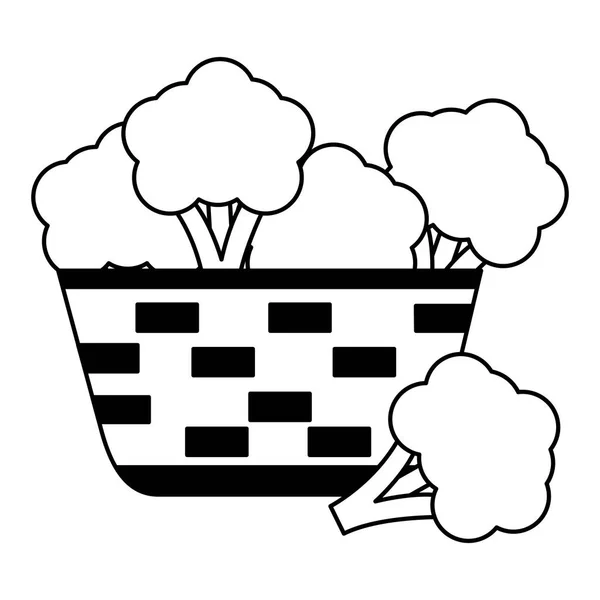 Wicker basket with fresh broccoli — Stock Vector