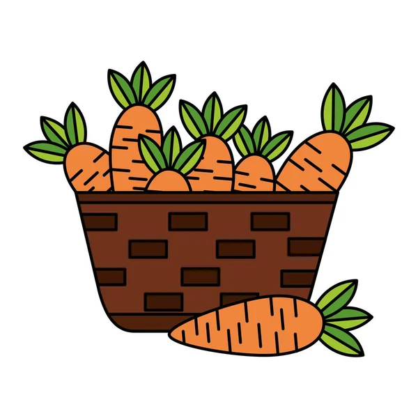Cesta de mimbre con zanahorias frescas — Archivo Imágenes Vectoriales