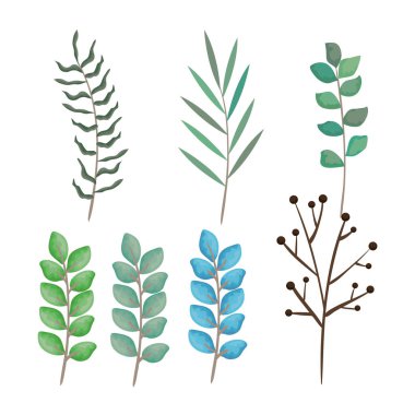 şube ile set stilleri simgeler yapraklar