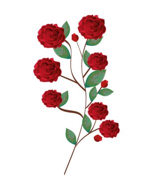 Güzel çiçekler ve yapraklar.