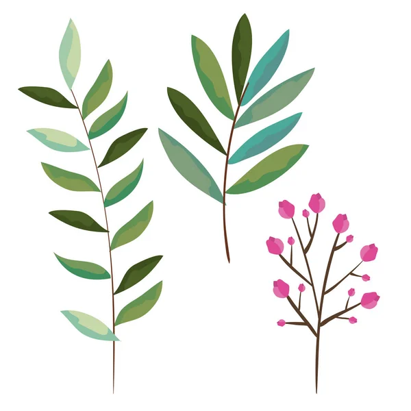 Zweig mit Blättern setzen Stilsymbole — Stockvektor