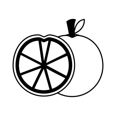 sağlıklı yiyecek taze