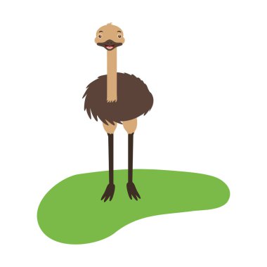 EMU fauna beyaz arka plan üzerinde