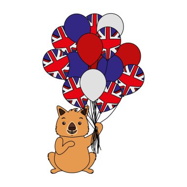 Wombat şapka ve balon Avustralya bayrağı ile