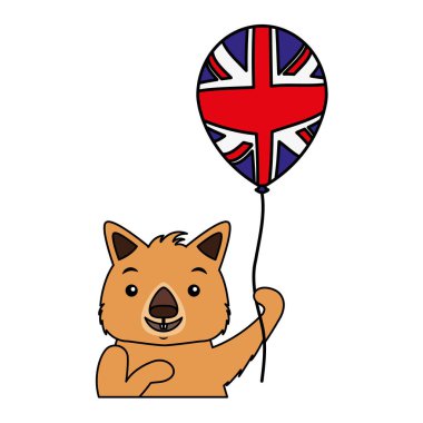 şapka ve balon Avustralya kutlama ile Wombat