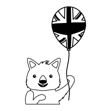 şapka ve balon Avustralya kutlama ile Wombat