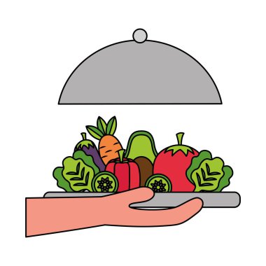 sebze yemek sağlıklı gıda üzerinde tutan el